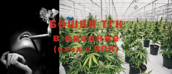 эйфоретик Белокуриха