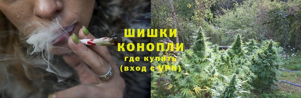 эйфоретик Белокуриха
