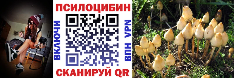 Псилоцибиновые грибы прущие грибы  Велиж 